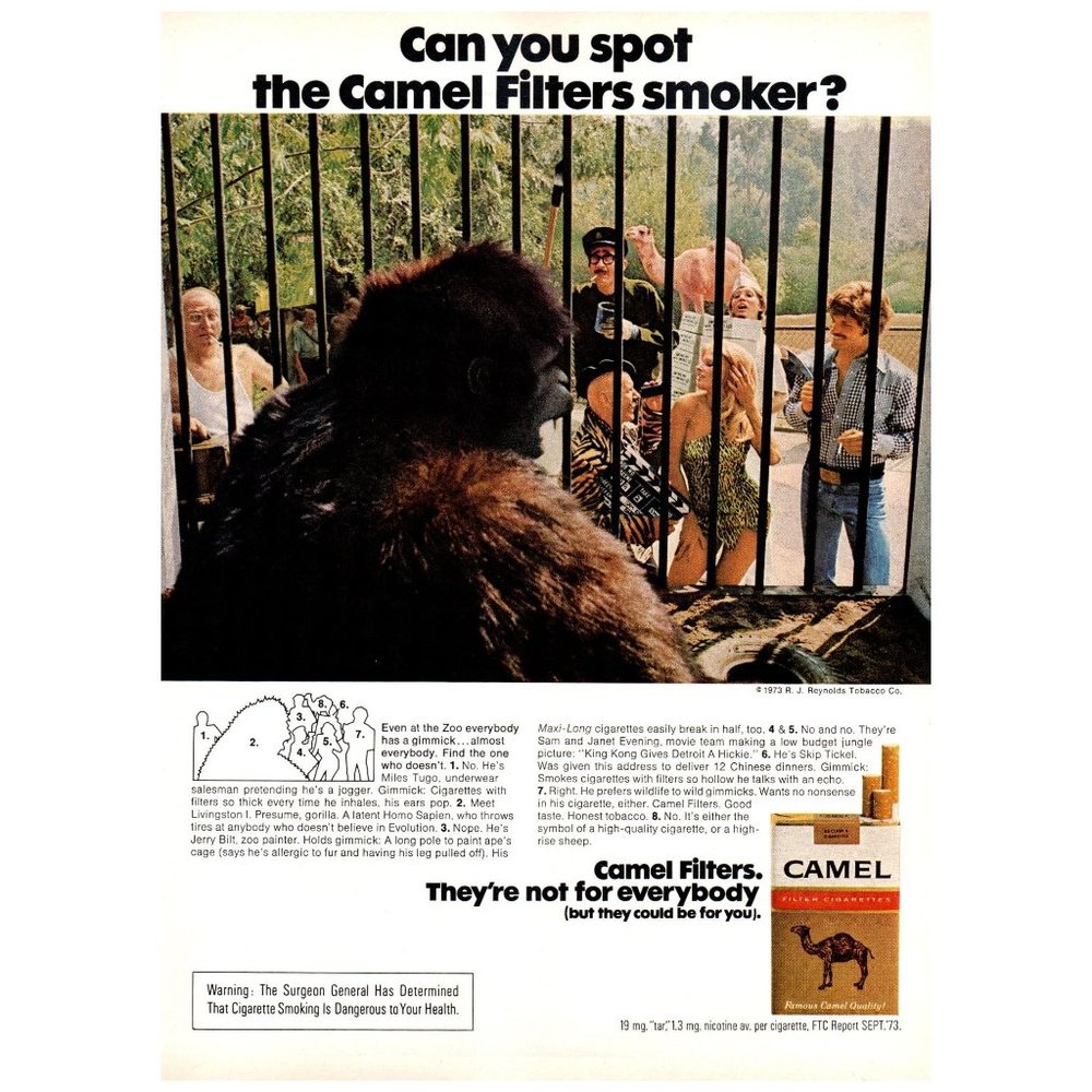 1974 Spot the Camel Filters Cigarettes Smoker Vintage Print Ad Gorilla in Zoo